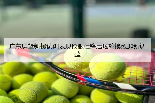 广东男篮新援试训表现抢眼杜锋后场轮换或迎新调整