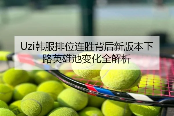 Uzi韩服排位连胜背后新版本下路英雄池变化全解析